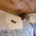 Chale Zimbro, Serra Da Estrela, Penhas da Saúde
