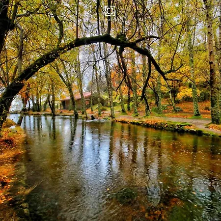 Chalé Chale Zimbro, Serra Da Estrela, *
