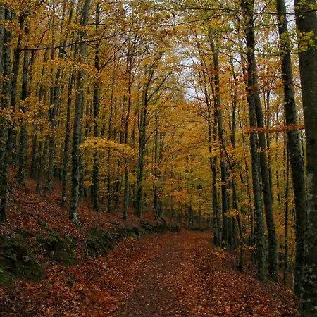 Chale Zimbro, Serra Da Estrela, Chalé
