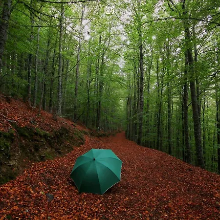 Chale Zimbro, Serra Da Estrela, Domek alpejski *