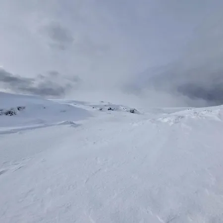 シャレー Chale Zimbro, Serra Da Estrela, *