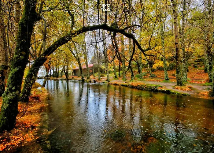 Alpehytte Chale Zimbro, Serra Da Estrela, *