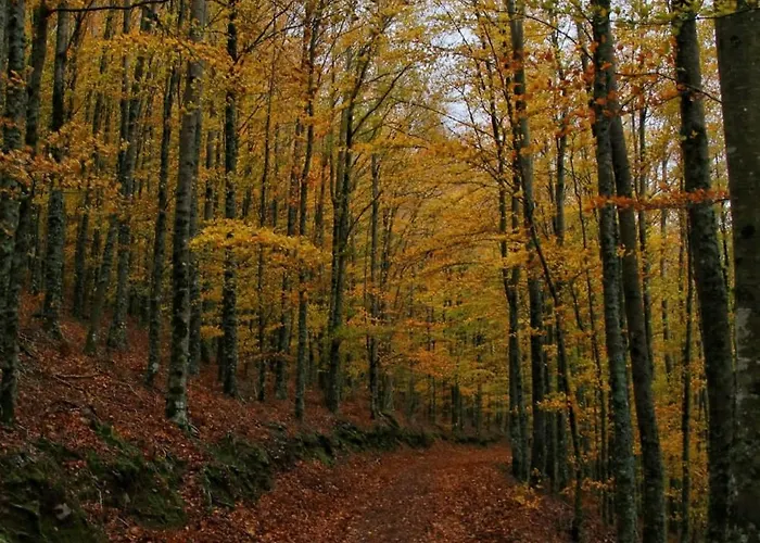 Chale Zimbro, Serra Da Estrela, Chalet