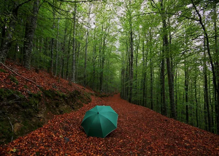 Chale Zimbro, Serra Da Estrela, Шале *