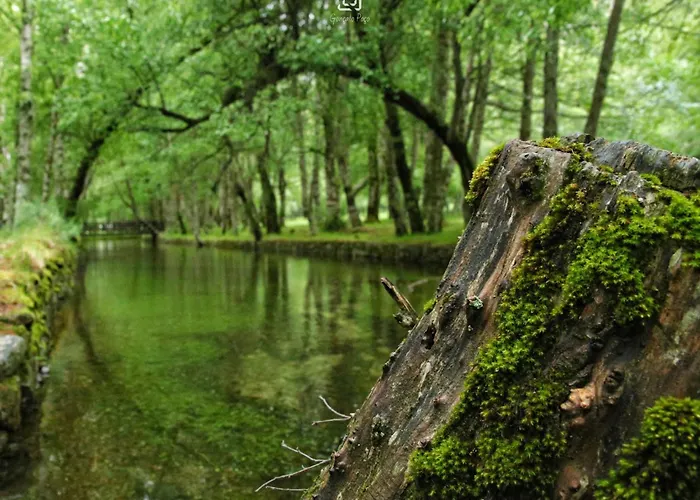 Chale Zimbro, Serra Da Estrela,