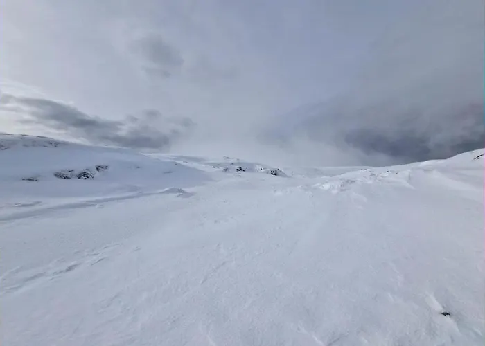 Chalet Chale Zimbro, Serra Da Estrela, *